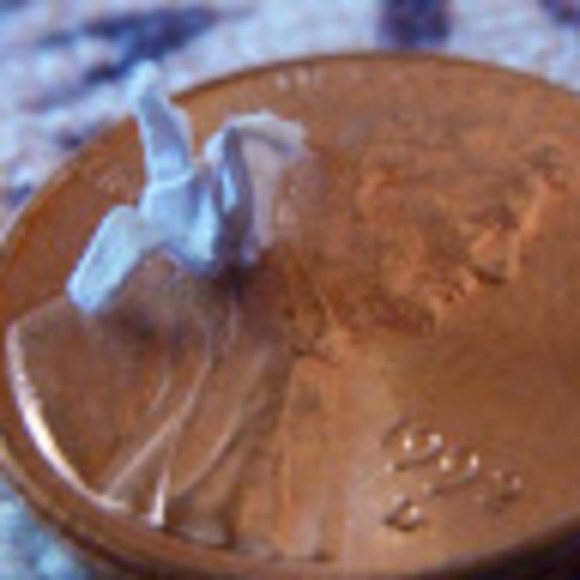 Meet your Posher, Danika - Picture 1 of 1